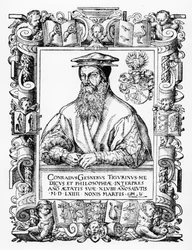 Konrád Gesner